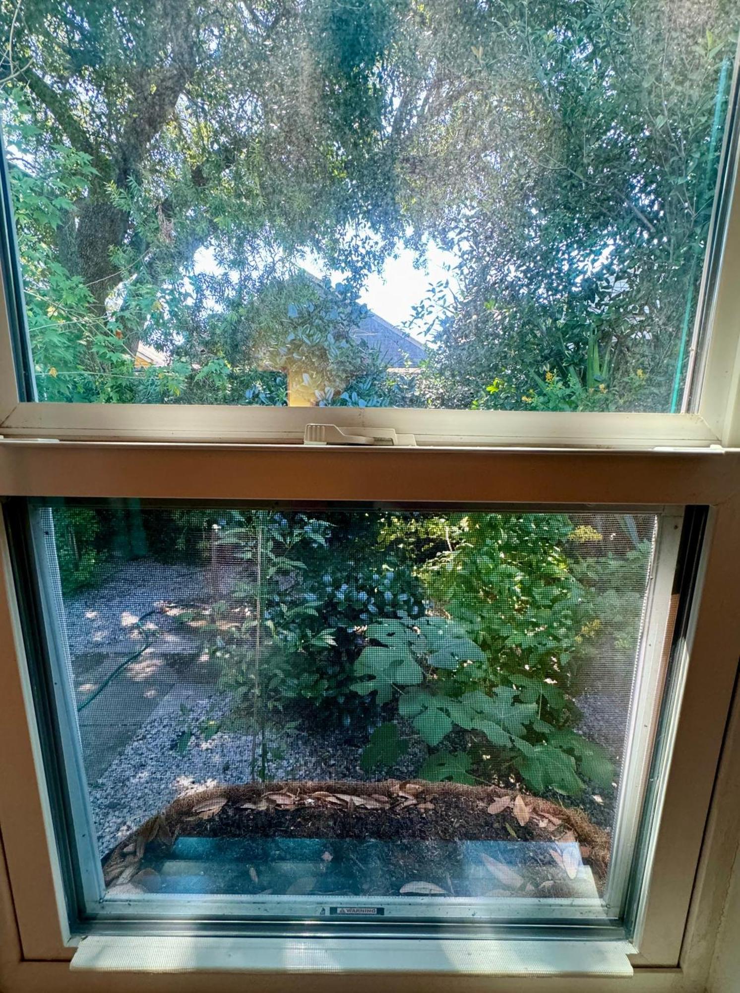 One Bedroom Apartment With Hot Tub 2 Blocks To Magazine Street نيو أورلينز المظهر الخارجي الصورة